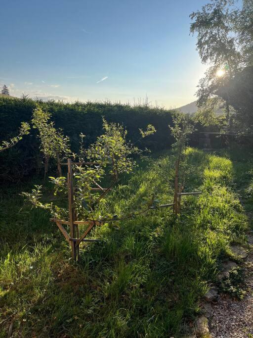 Nuit Insolite - La Cabane Du Haut-Doubs Les Gras Luaran gambar