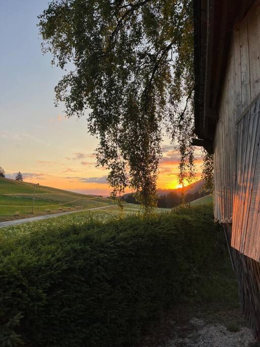 Nuit Insolite - La Cabane Du Haut-Doubs Les Gras Luaran gambar