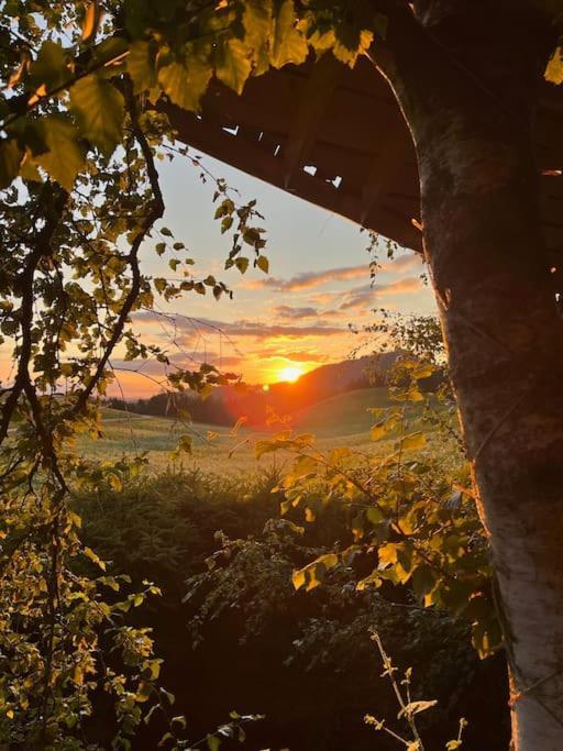 Nuit Insolite - La Cabane Du Haut-Doubs Les Gras Luaran gambar