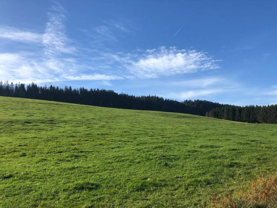 Nuit Insolite - La Cabane Du Haut-Doubs Les Gras Luaran gambar